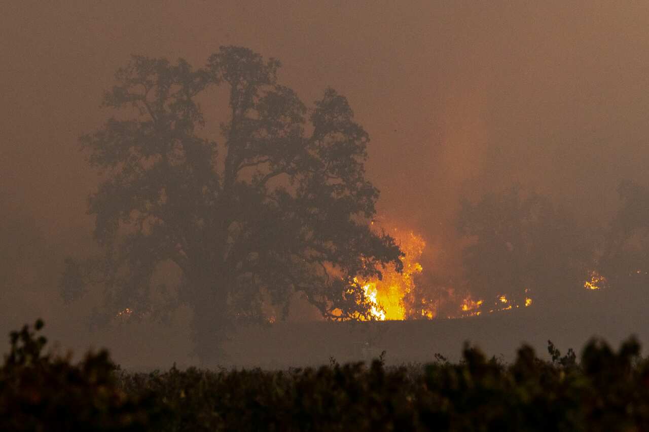 The Kincade Fire burning in the hills above Geyserville.