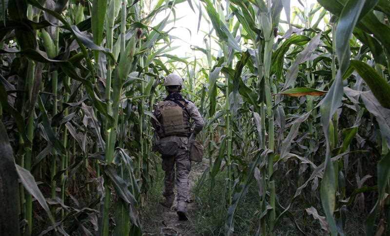 Afghan security officials patrol, during an operation against the Taliban militants, in Nad-e-Ali district of Helmand province