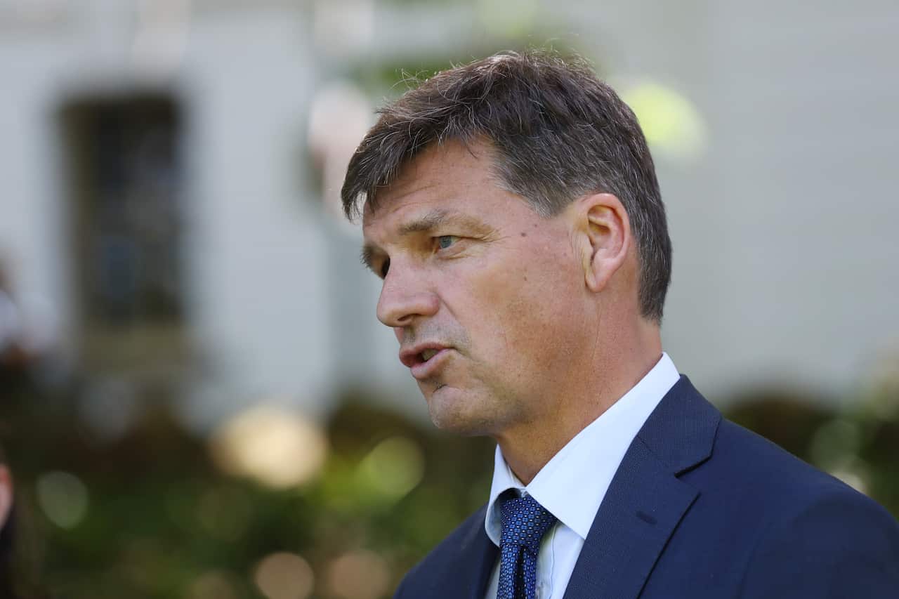 Energy Minister Angus Taylor.