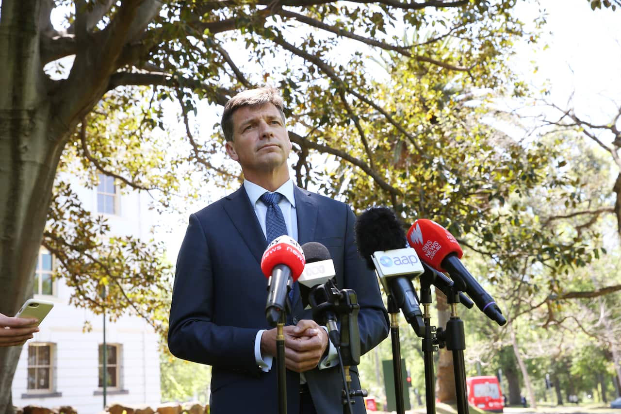 Federal Energy Minister Angus Taylor discussing a government grid reliability fund last year.