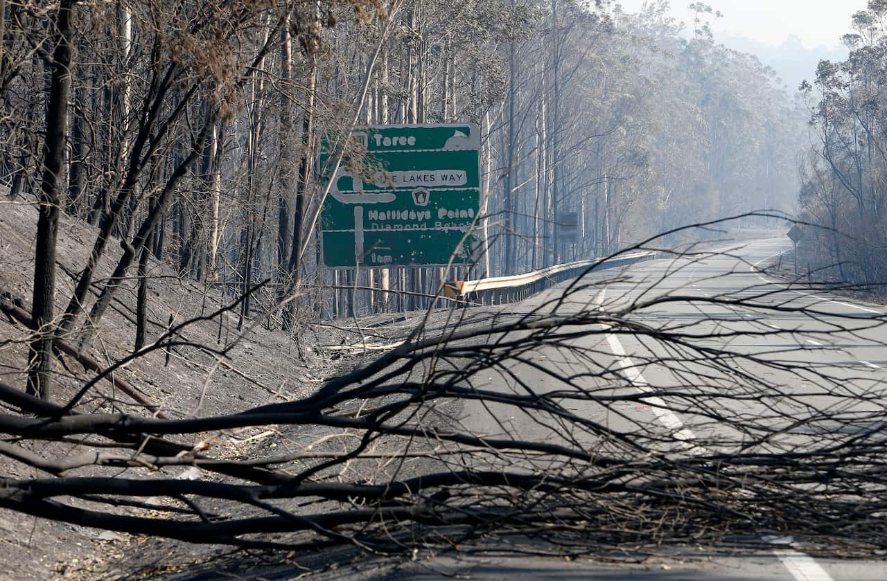 The remains of a fire which burnt out bush along the Pacific Highway south of Taree, Saturday, November 9, 2019.  (AAP Image/Darren Pateman) NO ARCHIVING, EDITORIAL USE ONLY