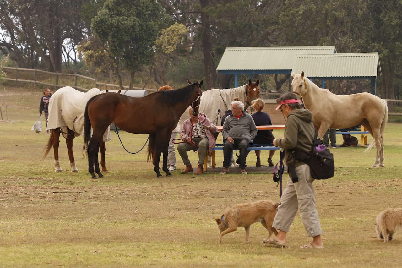 Residents evacuate themselves and their animals to a park.