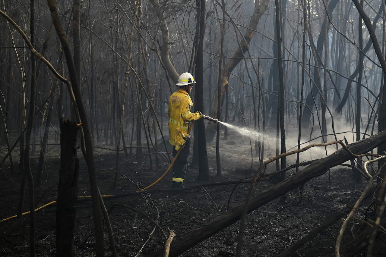 NSW Rural Fire Service crews mop up after a fire came close to homes at South Turramurra.