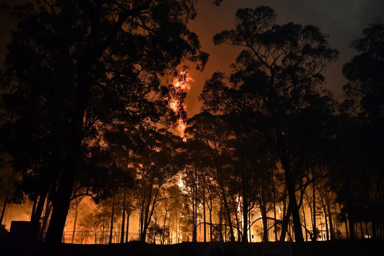 Fires in NSW earlier this month.