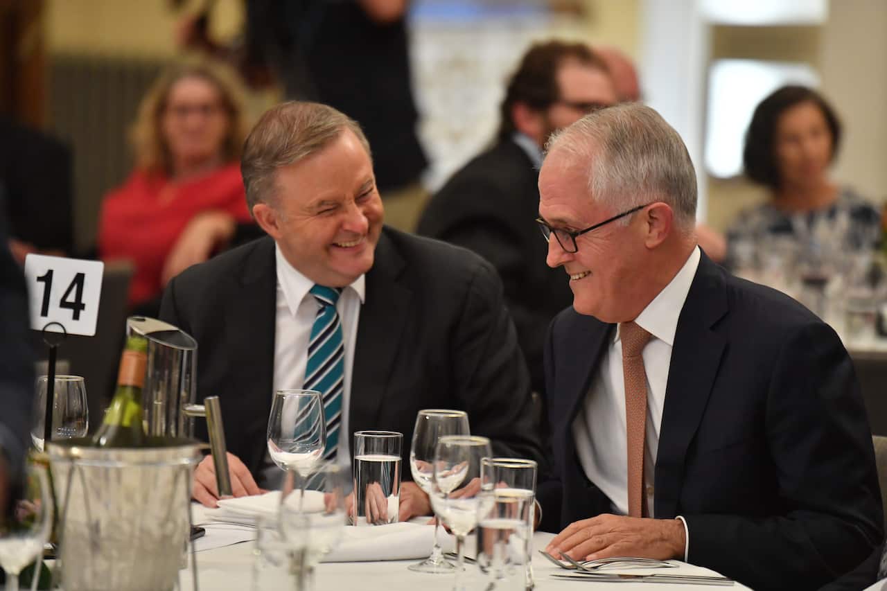 Leader of the Opposition Anthony Albanese and former prime minister Malcolm Turnbull.
