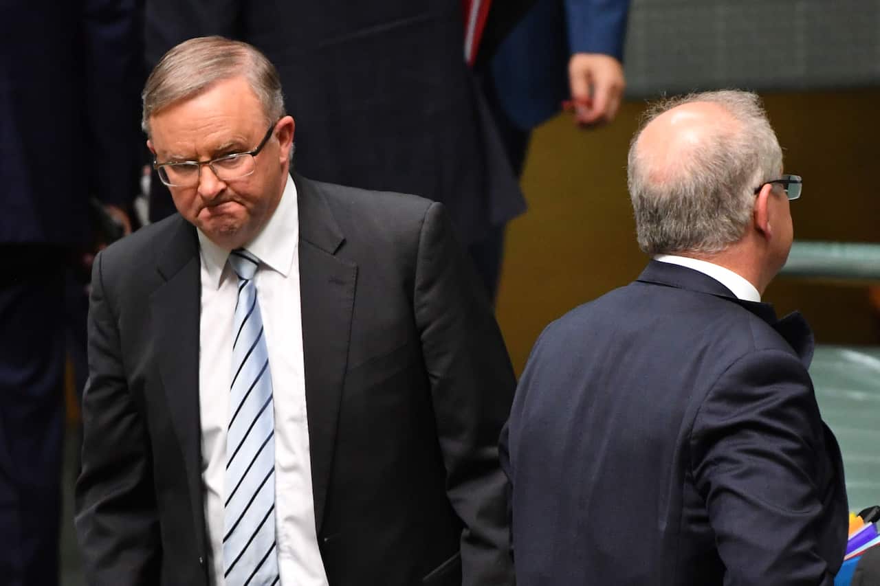 Leader of the Opposition Anthony Albanese and Prime Minister Scott Morrison.