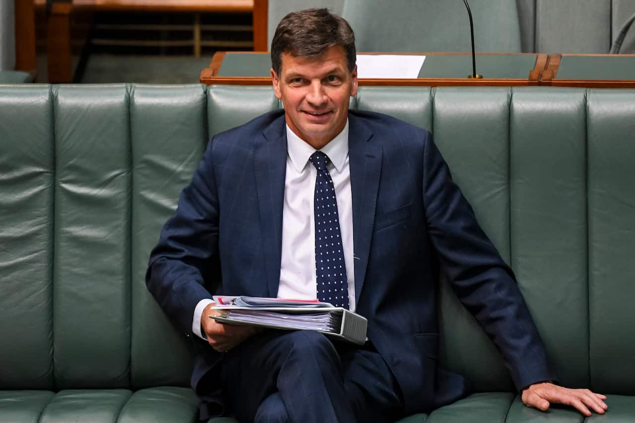Australian Energy Minister Angus Taylor reacts during House of Representatives Question Time at Parliament House in Canberra, Monday, December 2, 2019. (AAP Image/Lukas Coch) NO ARCHIVING