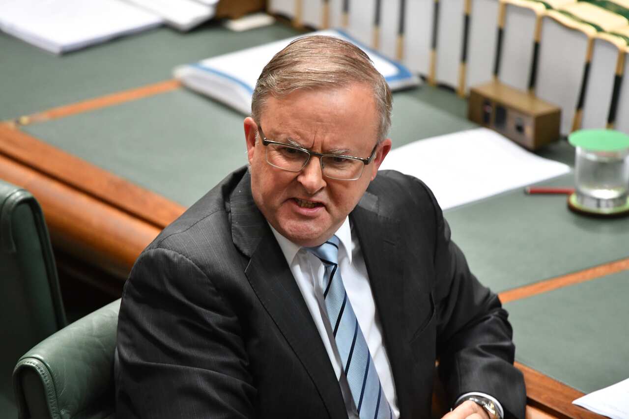 Anthony Albanese during Question Time.
