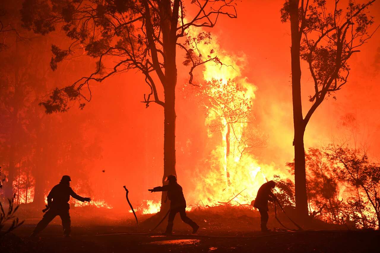 RFS volunteers and NSW Fire and Rescue officers fight a bushfire south of Sydney.