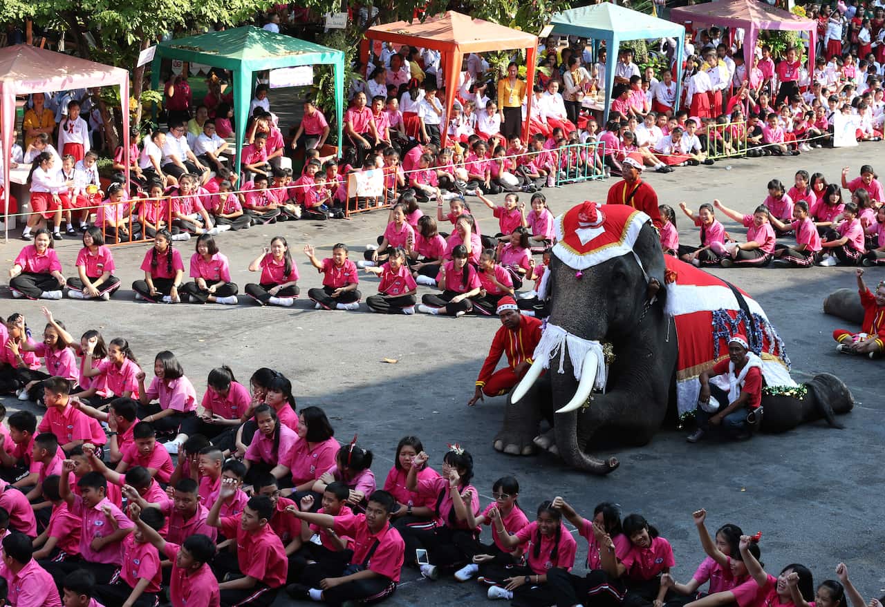 Thai elephants dressed as Santa Claus perform with students during Christmas celebrations.