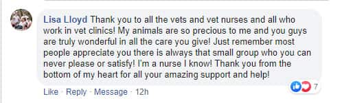 Screenshot Insight Vet show