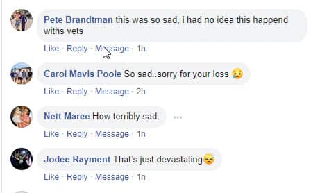 Screenshot Insight Vet show