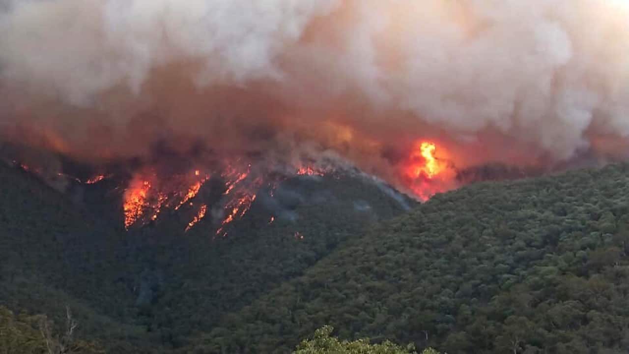 Smoke billows from a fire burning at East Gippsland, Victoria.