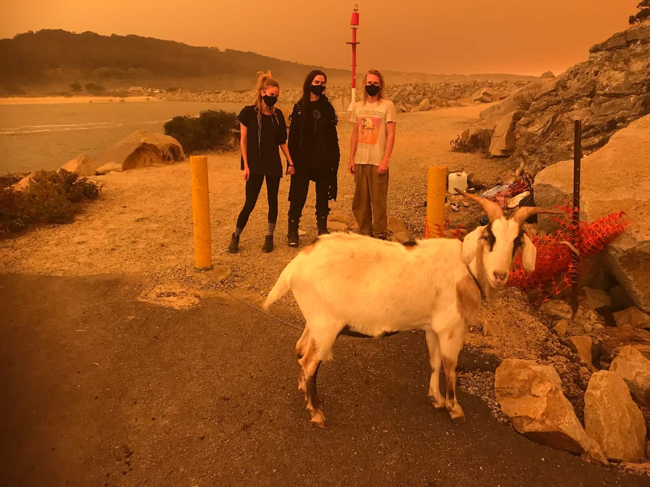 Emerald Adams, Katarzyna Krilov and Lachlan Reilly with their goat Hansel in Narooma, NSW. 