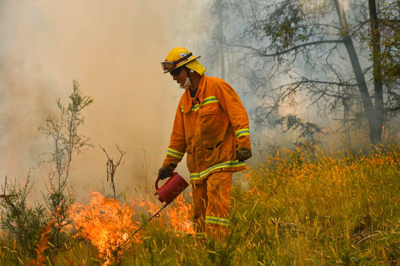 CFA strike teams performing controlled burning west of Corryong, Victoria, Tuesday, January 7, 2020.
