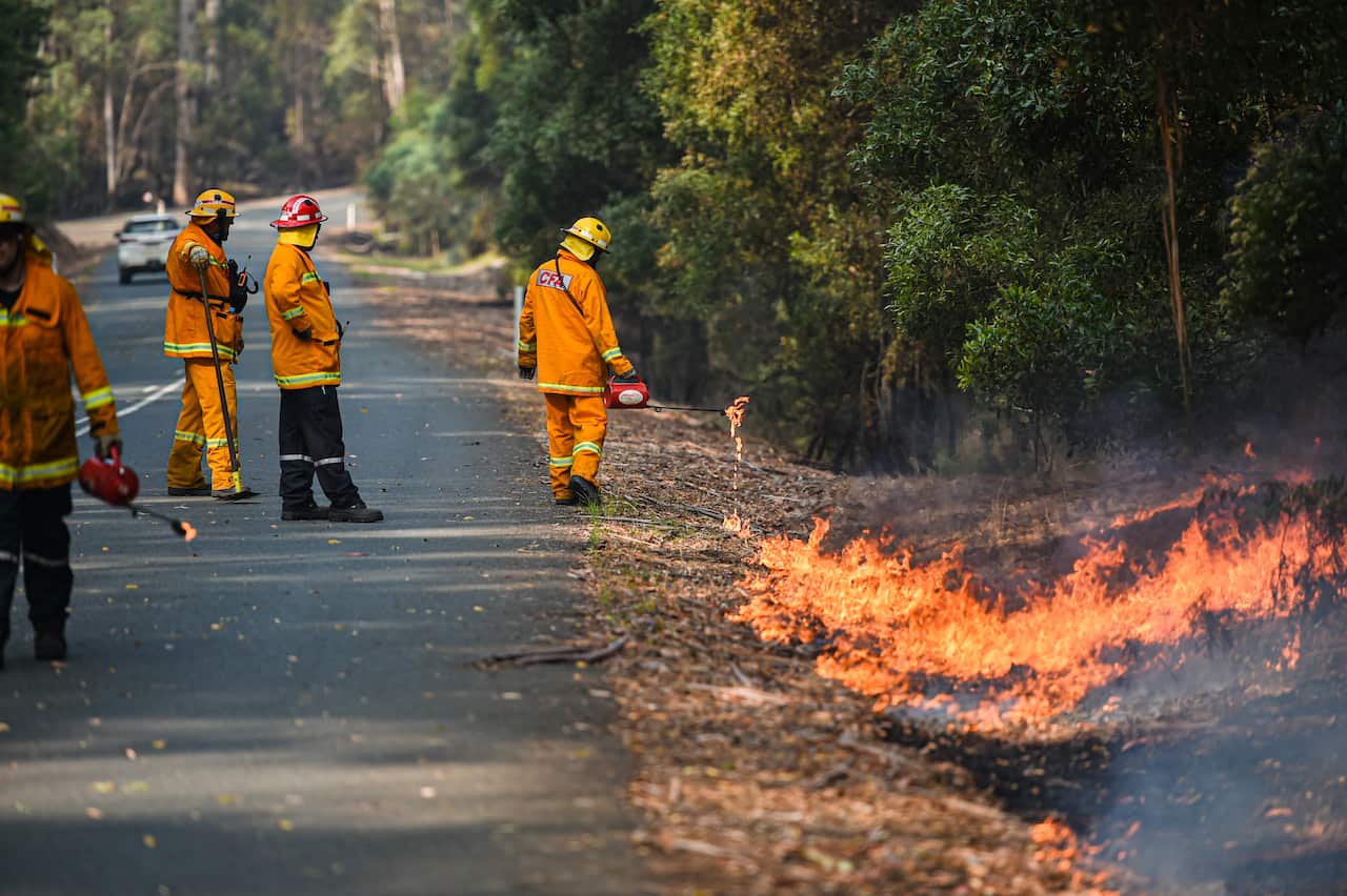 CFA strike teams performing controlled burning west of Corryong, Victoria.