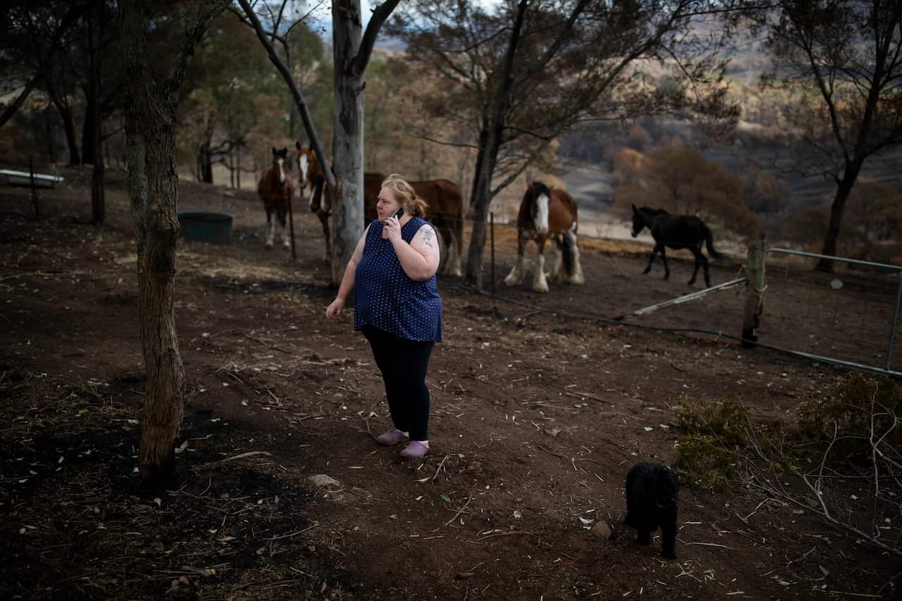 Lisa Poulsen, 49, is trying to nurse her horses back to health after devastating bushfires in Verona, NSW.
