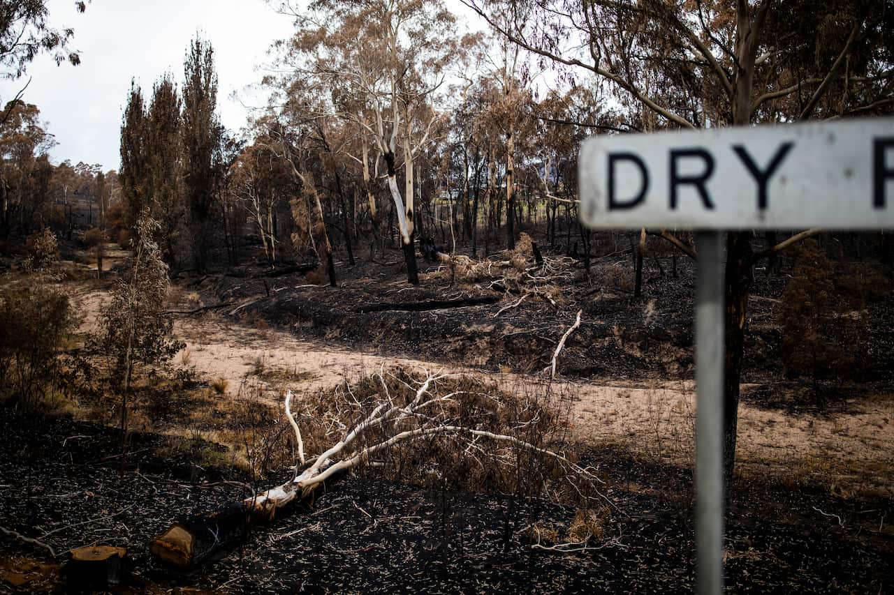 The recent bushfires on the South Coast of NSW were preceded by extended periods of drought.