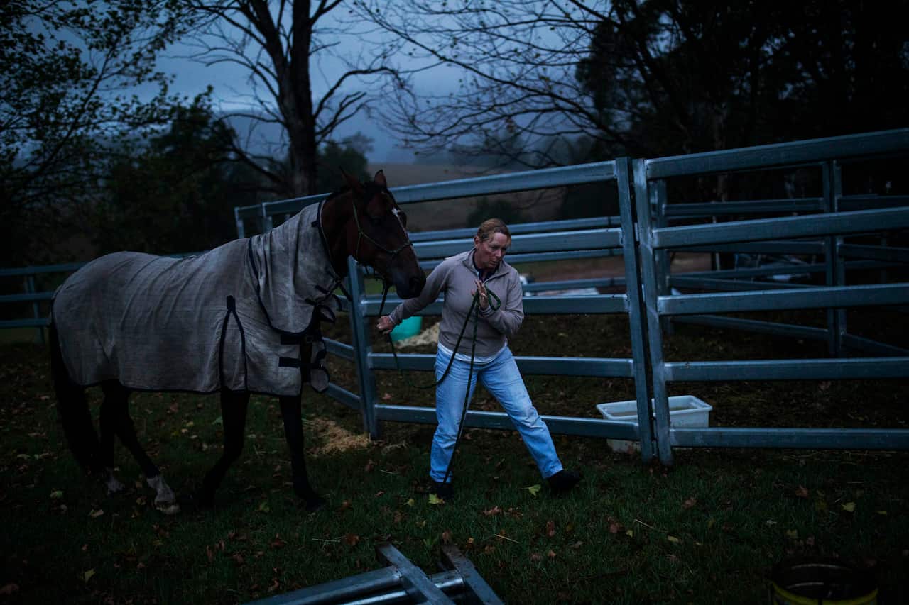 Cobargo resident Nina Balas leads a horse to a makeshift yard at the Cobargo Community Relief Centre.