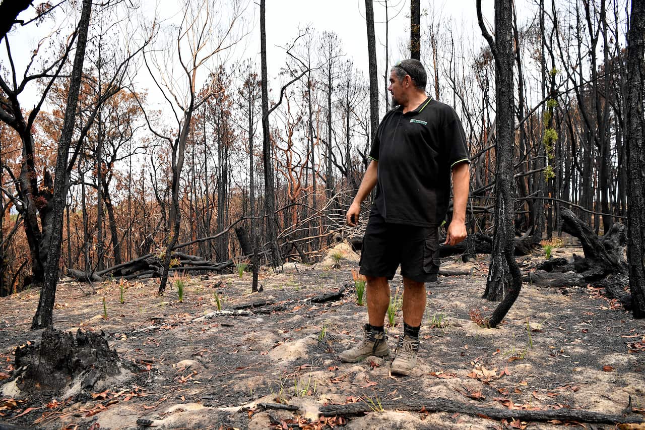 Kelvin Johnson speaks about native regrowth among bushland destroyed by bushfires in Kulnura.
