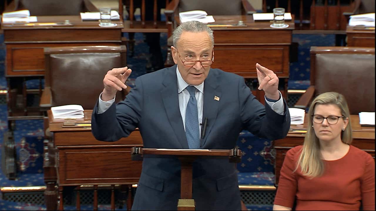 Democratic Senator Chuck Schumer speaks before the impeachment trial.