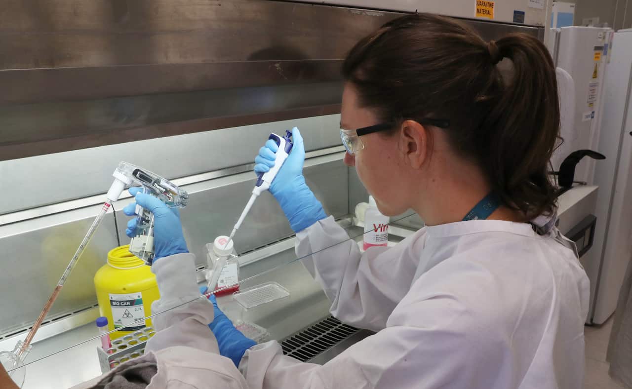CSIRO scientists research coronavirus in Victoria.