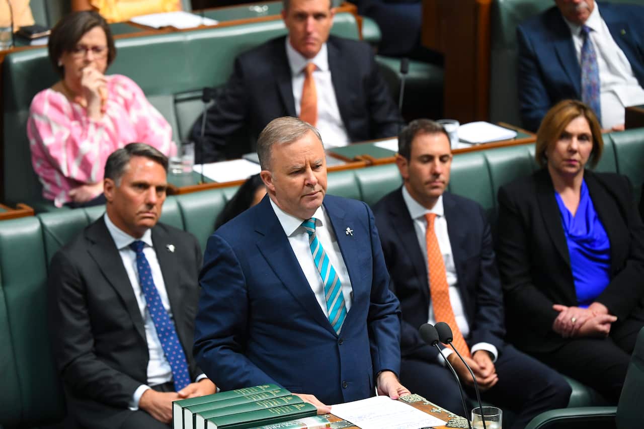Opposition Leader Anthony Albanese speaks during the Australian Bushfires condolences motion.