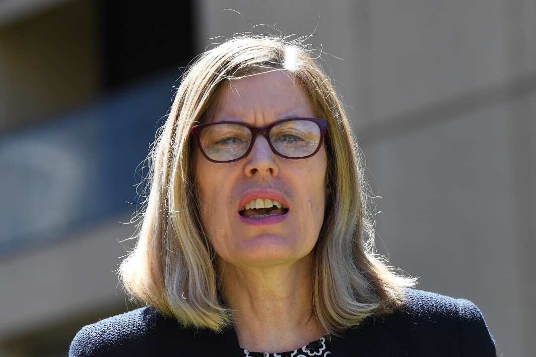 NSW Chief Health Officer Dr Kerry Chant says COVID-19 cases in the state now total more than 250.