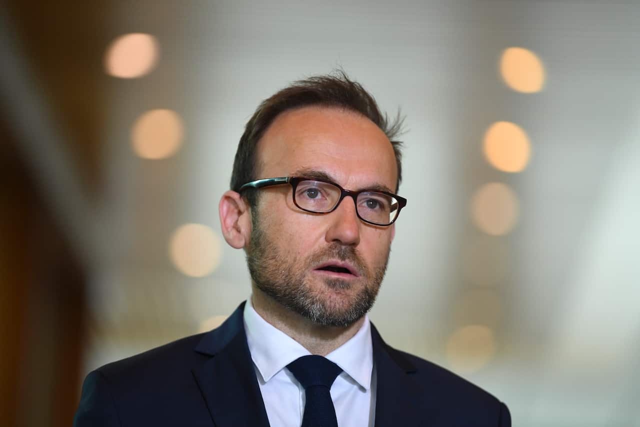 Greens leader Adam Bandt.