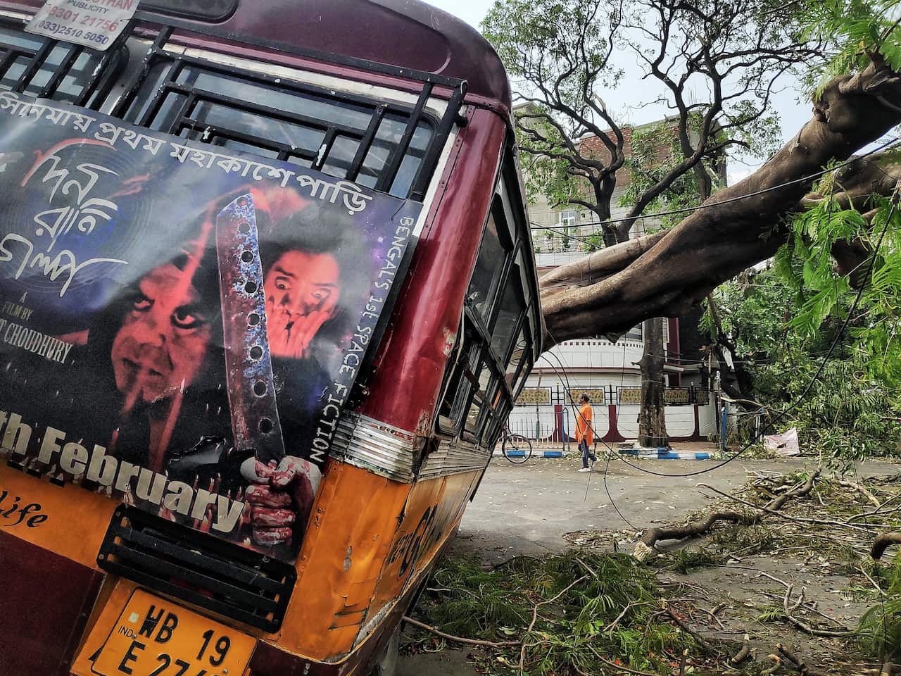 Cyclone Amphan has made Kolkata into a jungle, every trees are fallen on the ground. 