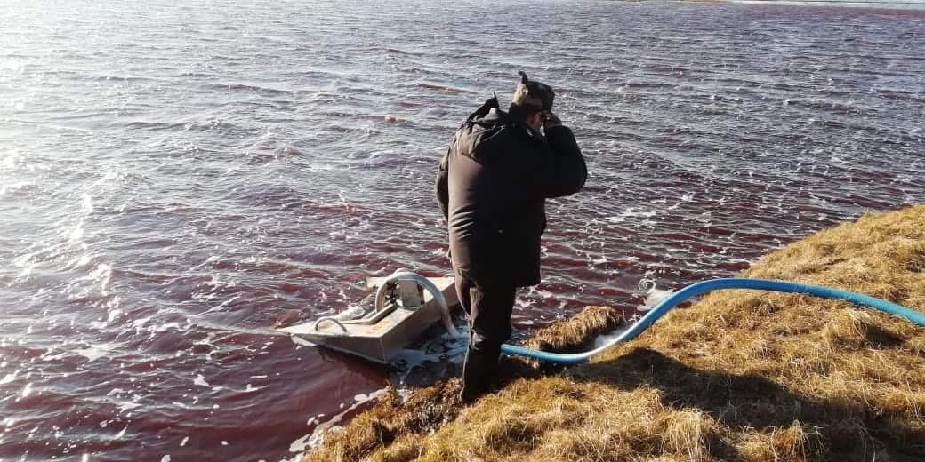 A rescuer working at the site of oil products spill into the Ambarnaya river outside of Norilsk, Russia.