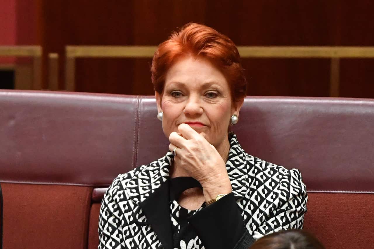 One Nation leader Senator Pauline Hanson in the Senate chamber at Parliament House in Canberra, Wednesday, June 17, 2020. (AAP Image/Mick Tsikas) NO ARCHIVING