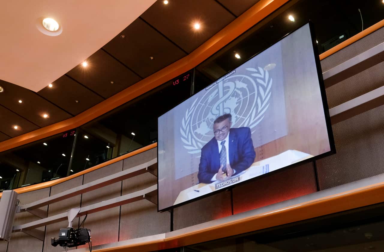 World health organization (WHO) Director General, is seen on a screen during a video hearing Belgium, 25 June 2020.  