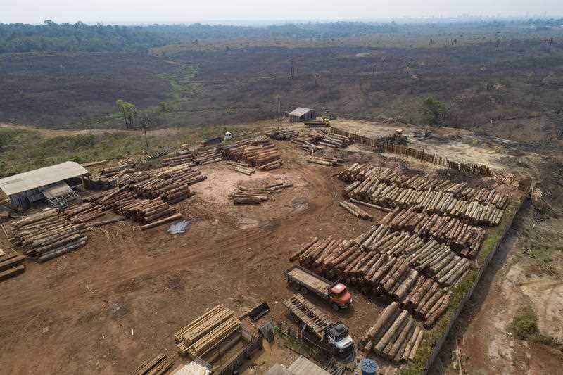 Logs are stacked at a lumber mill surrounded by recently charred and deforested fields near Porto Velho, Brazil.