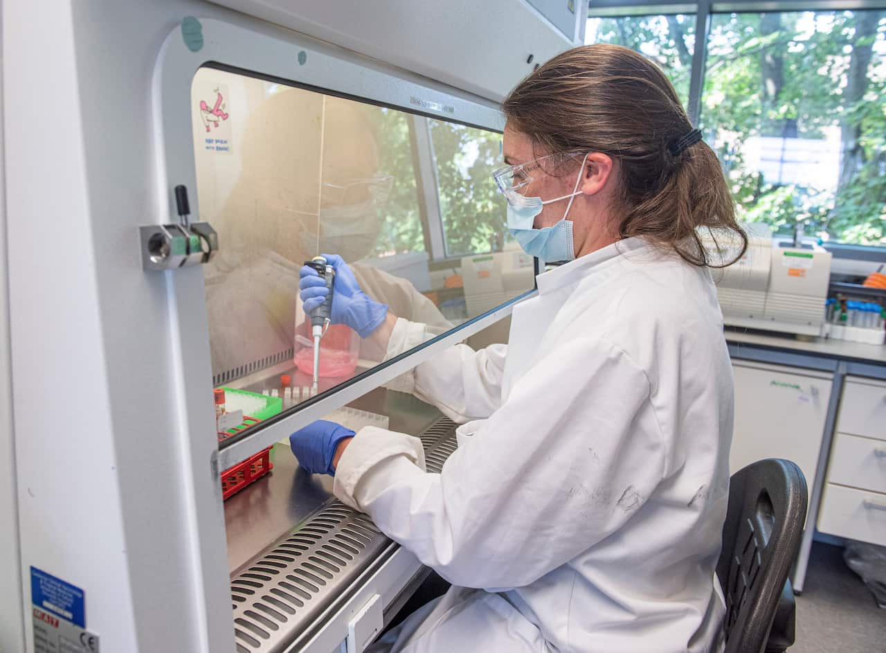 Samples from coronavirus vaccine trials are handled inside the Oxford Vaccine Group laboratory in Oxford, England.
