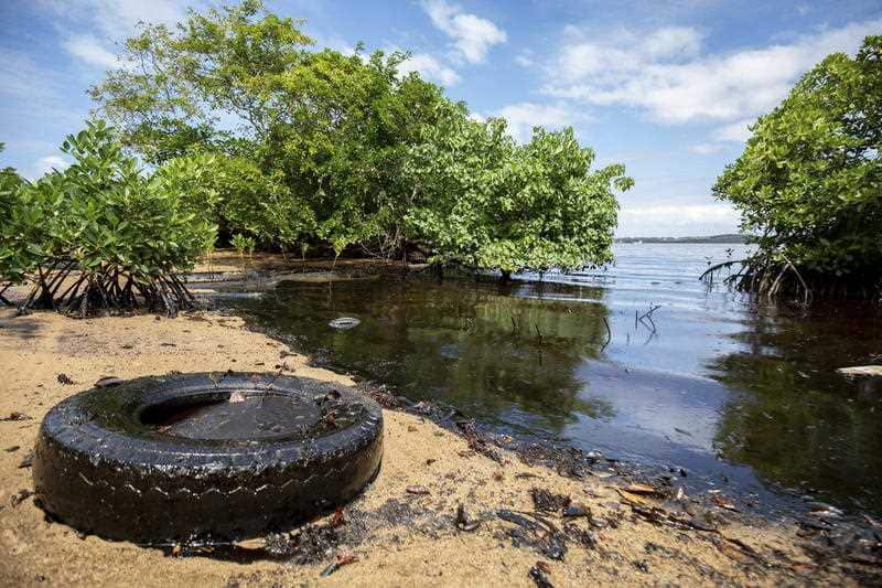 A general view of oil washed up on a beach