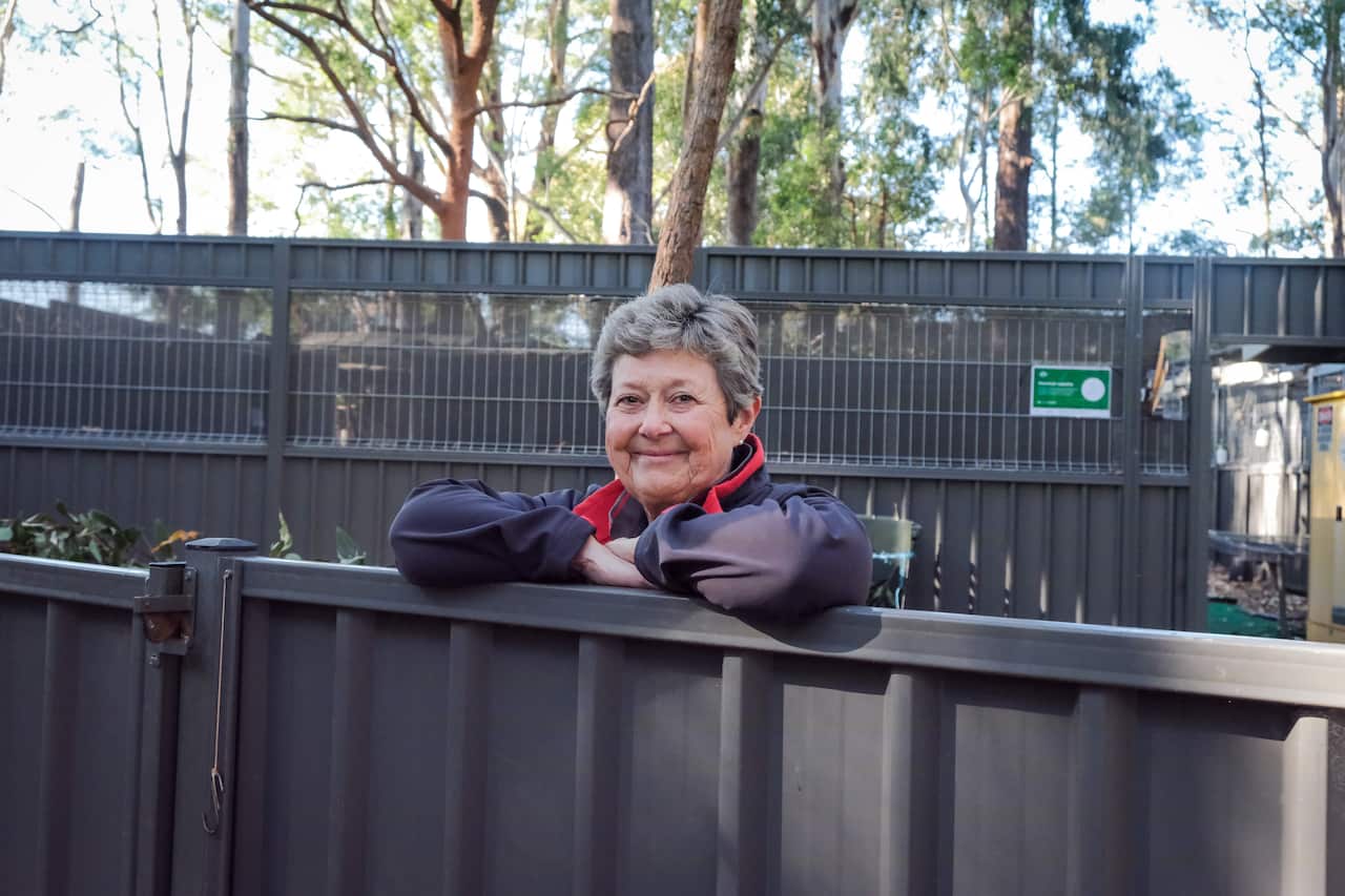 President of the Port Macquarie Koala Hospital Sue Ashton is a dedicated volunteer.