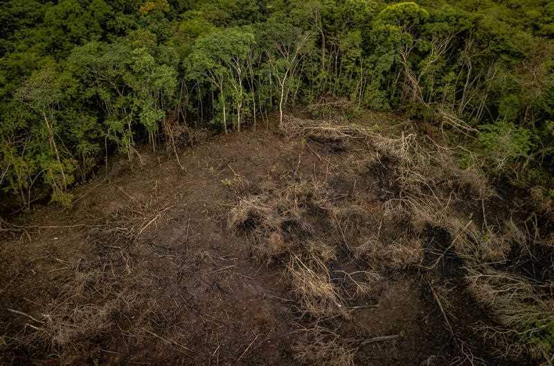 Undated handout photo issued by the World Wildlife Fund UK (WWF) of an area of deforestation in the Colombian Amazon 