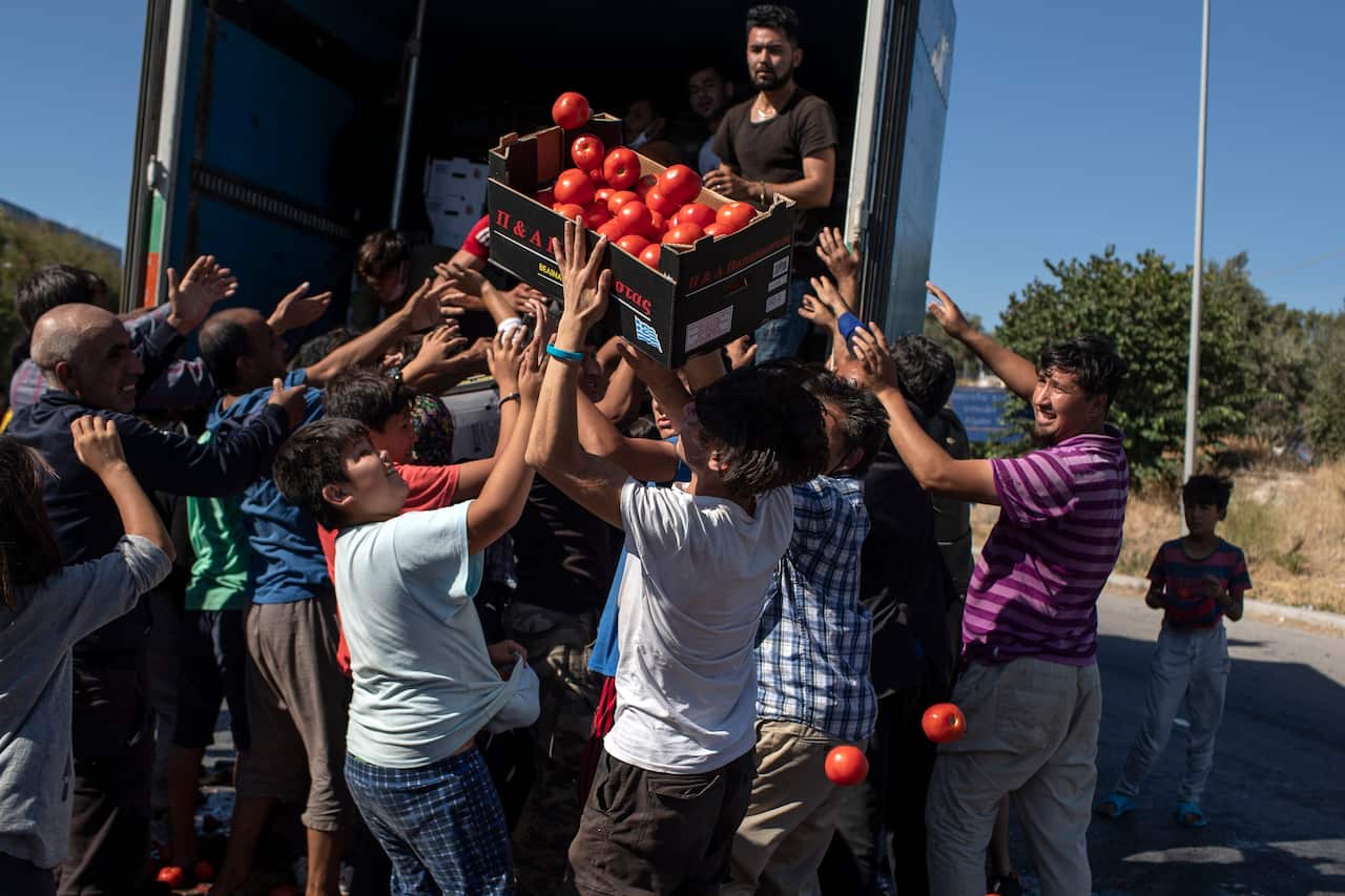 Migrants rush for a crate of tomatoes during a food distribution.