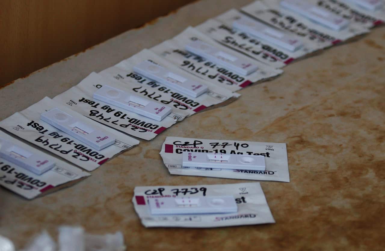 Coronavirus testing kit, standard Q Covid-19 Rapid Antigen Test strips produced by SD Biosensor Inc. for rapid Antigen Testing.