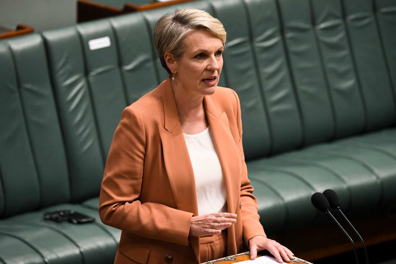 Labor's shadow minister for women Tanya Plibersek.
