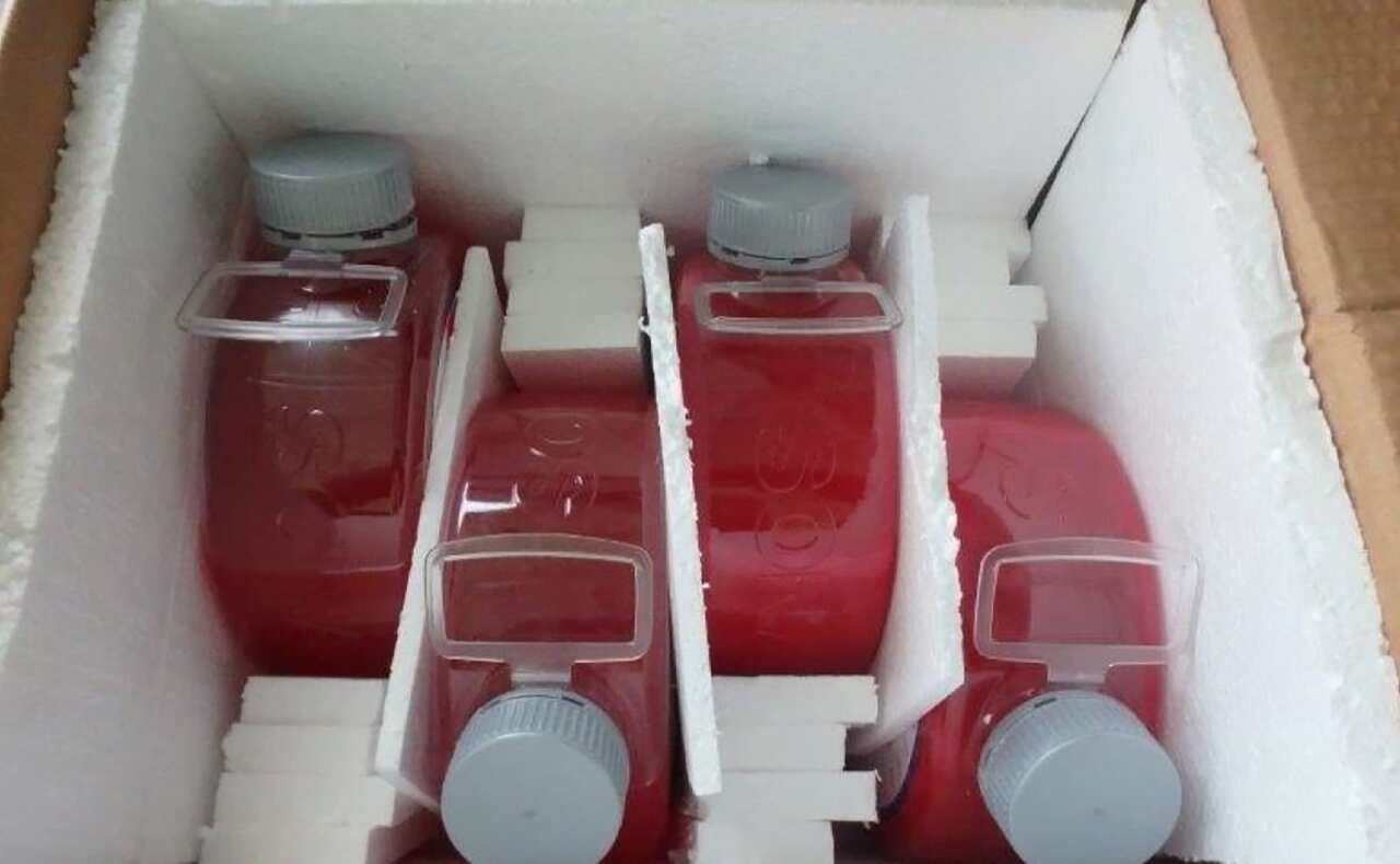 Iranian expats are being targeted by organised crime to act as drug mules, the AFP says.