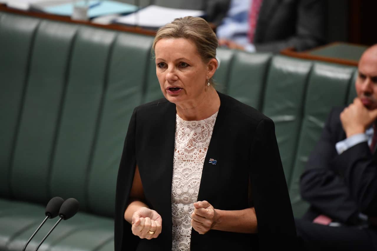 Minister for the Environment Sussan Ley.