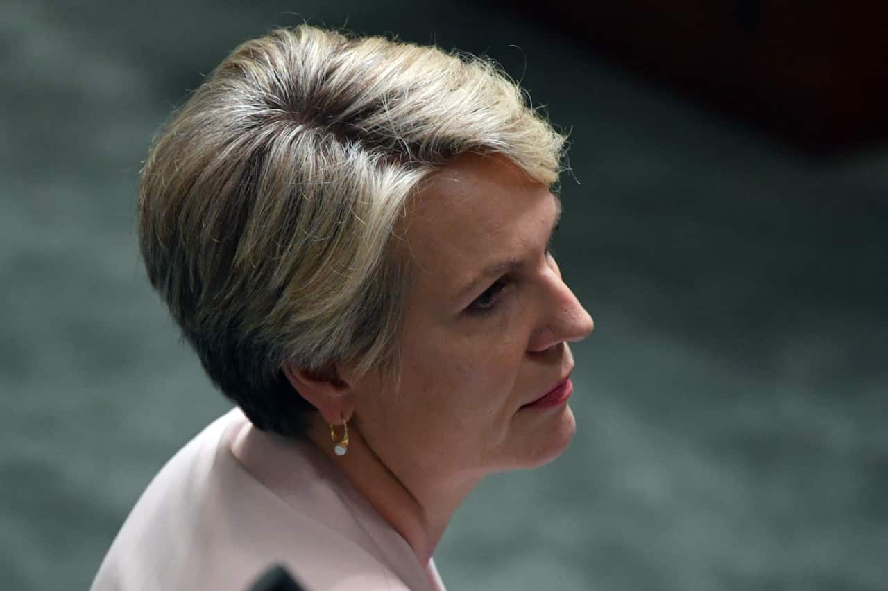 Shadow Minister for Women Tanya Plibersek.
