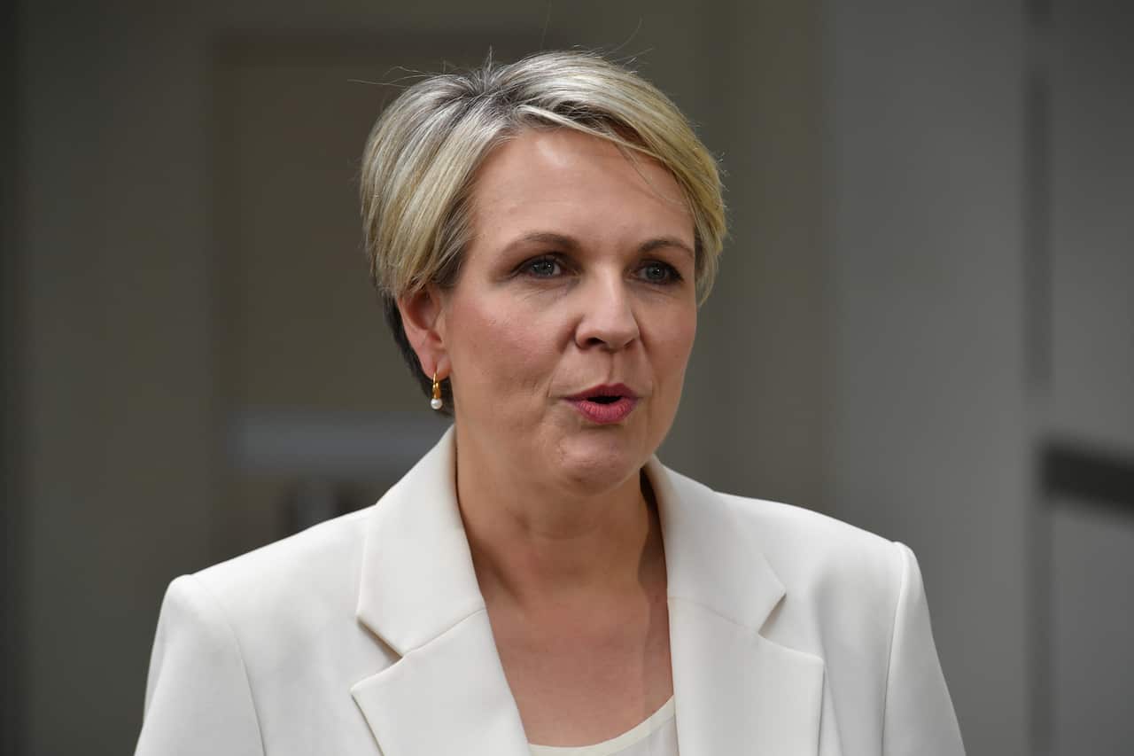 Labor frontbencher Tanya Plibersek has refused to comment directly on Kristina Keneally's bid for the Sydney seat of Fowler.