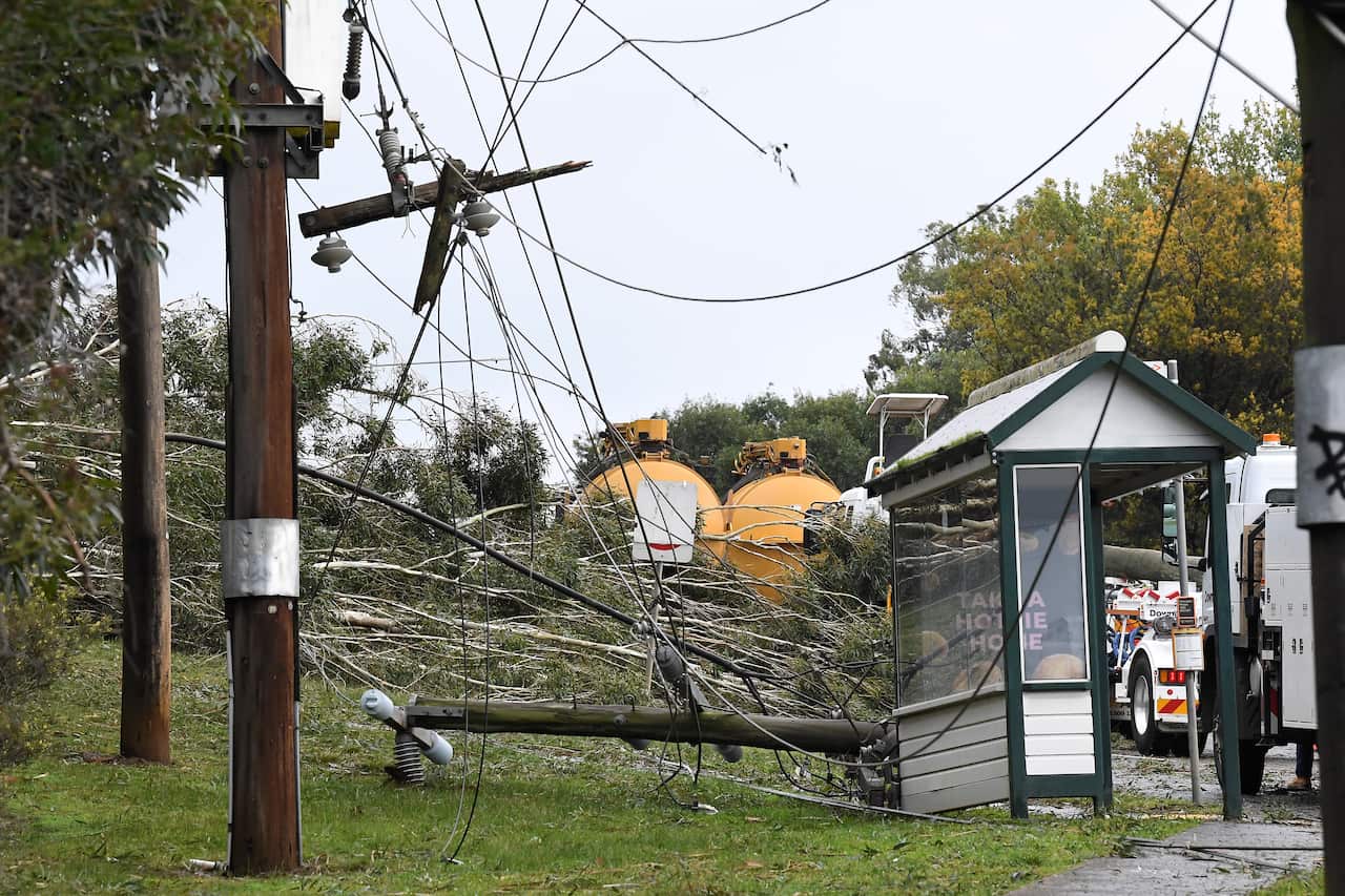 Downed powerlines are seen in Lilydale, Melbourne, on Thursday, 10 June, 2021.