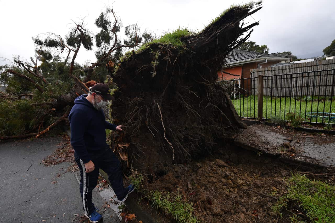 Local residents assess storm damage in Lilydale, Melbourne, on Thursday, 10 June, 2021.