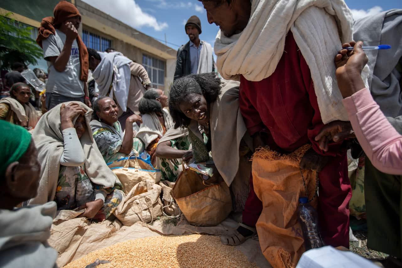 Ethiopian women hold out sacks to receive portions of split peas after it was distributed in the town of Agula, Tigray, May 8, 2021.