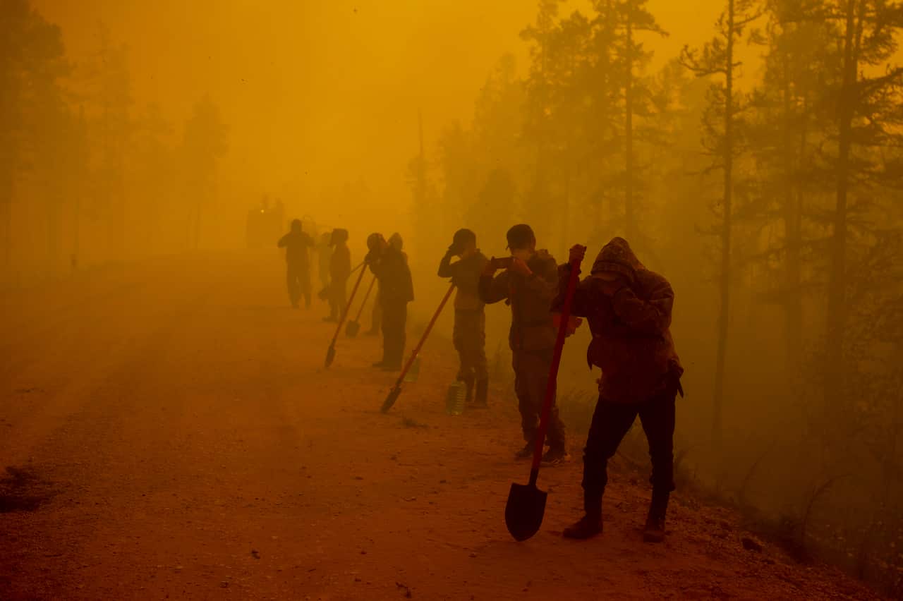 Intense fires across the world have scorched millions of hectares, causing record amounts of CO2 to go into the atmosphere.