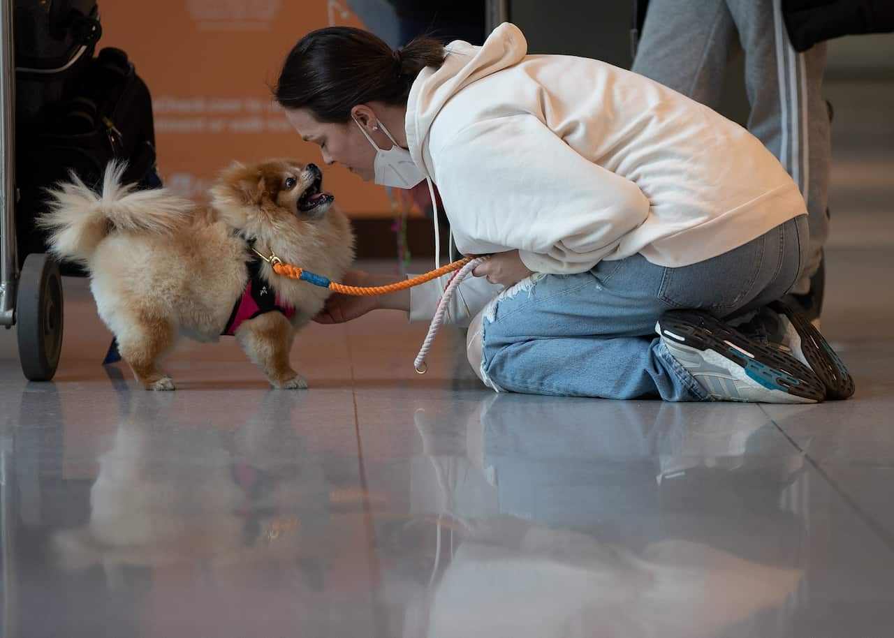 A woman reunites with her dog outside the US Customs and Border Protection gate at Boston's Logan International Airport